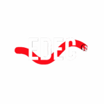 edec logo concept