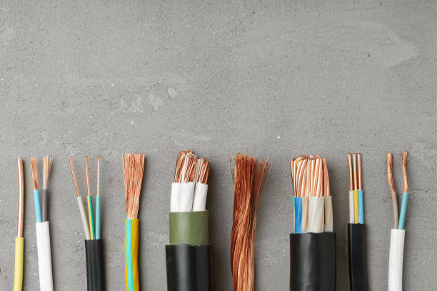 istockphoto 2160029721 612x612 istockphoto 2160029721 612x612